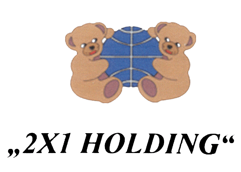 2X1 HOLDING