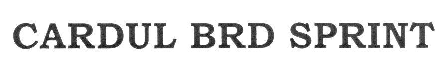 CARDUL BRD SPRINT