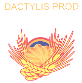 DACTYLIS PROD