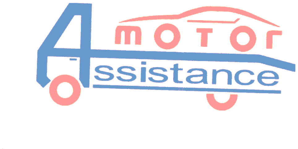 MOTOR ASSISTANCE
