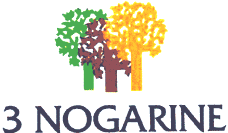3 NOGARINE