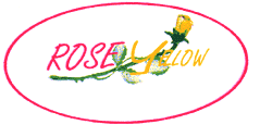 ROSE YELLOW