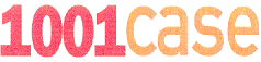1001CASE