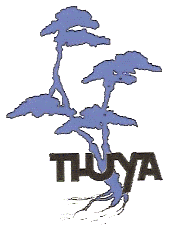 THUYA