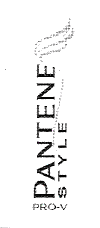 PANTENE PRO-V STYLE