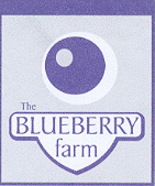BLUEBERRY FARM