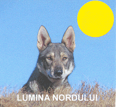 LUMINA NORDULUI