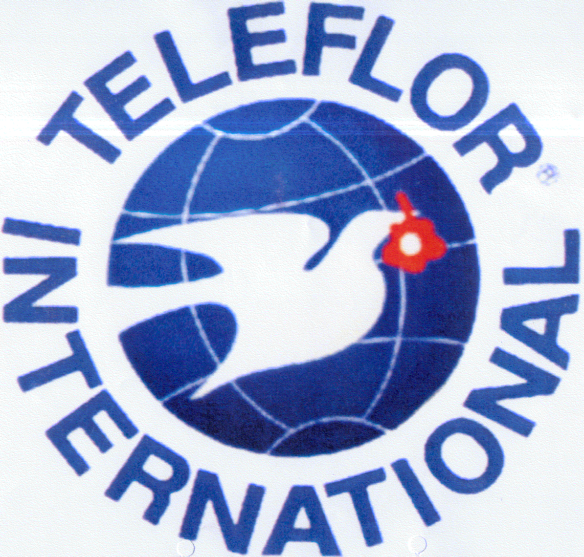 TELEFLOR INTERNATIONAL