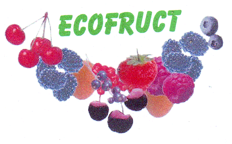ECOFRUCT