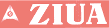 ZIUA