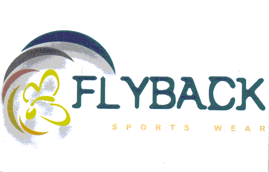 FLYBACK