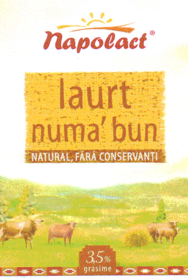 NAPOLACT IAURT NUMA' BUN