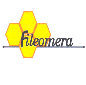 FILEOMERA