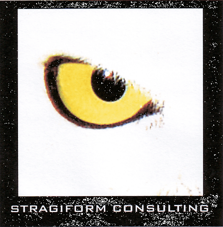 STRAGIFORM CONSULTING