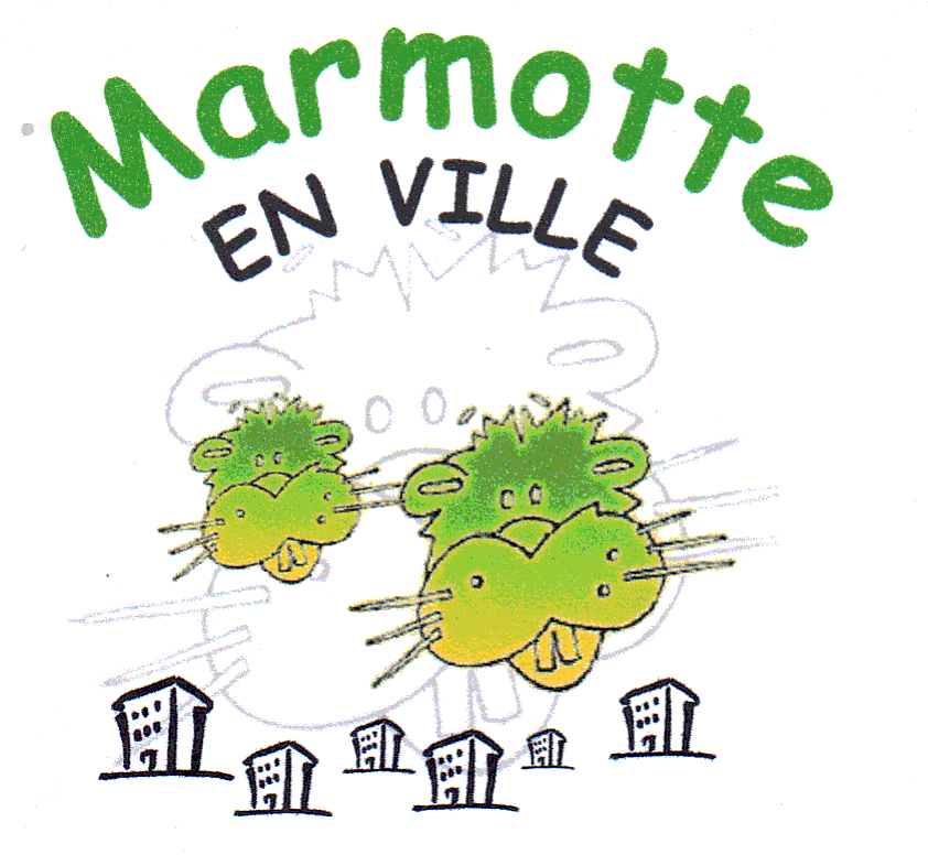 MARMOTTE EN VILLE