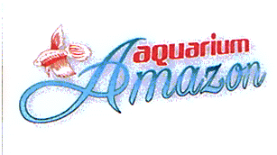 AQUARIUM AMAZON