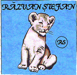 RĂZVAN ŞTEFAN