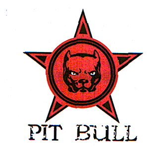 PIT BULL