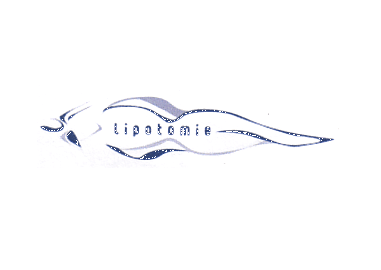 LIPOTOMIE