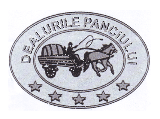 DEALURILE PANCIULUI