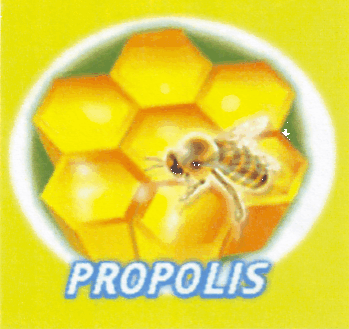 PROPOLIS