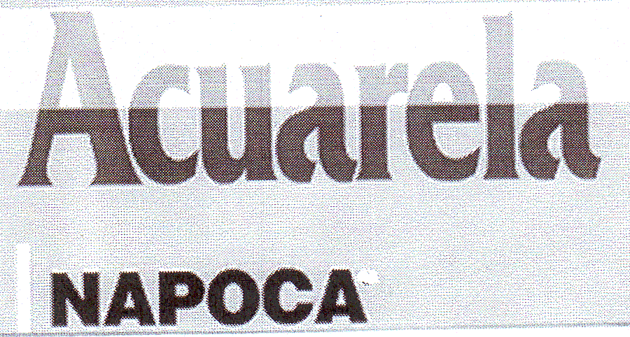 ACUARELA NAPOCA