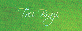TREI BRAZI