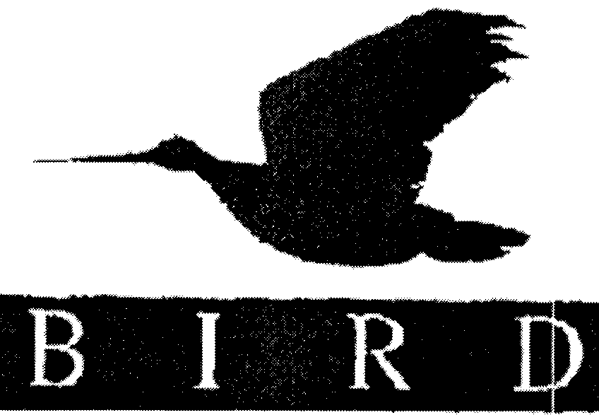 BIRD