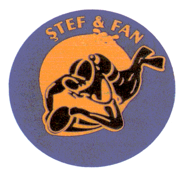 ŞTEF & FAN
