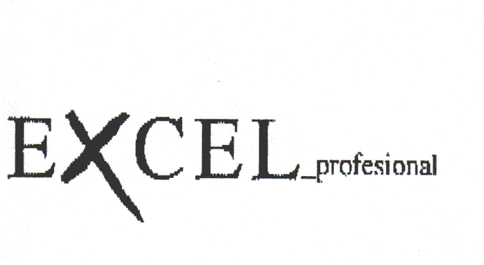 EXCEL_PROFESIONAL