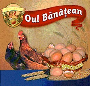 OUL BANATEAN