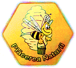 PLACEREA NATURII