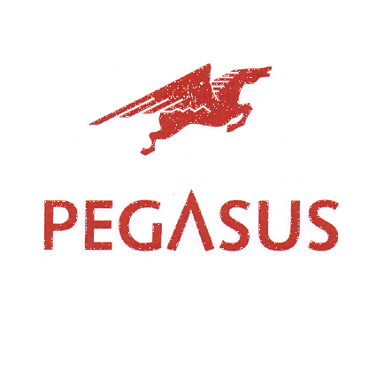 PEGASUS