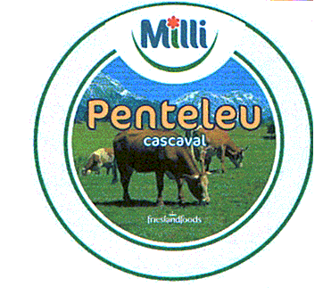 MILLI PENTELEU