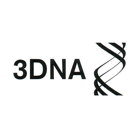 3DNA