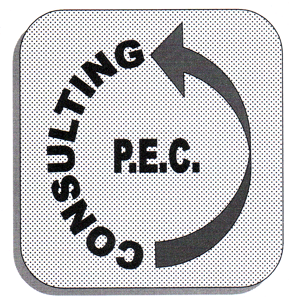 CONSULTING PEC