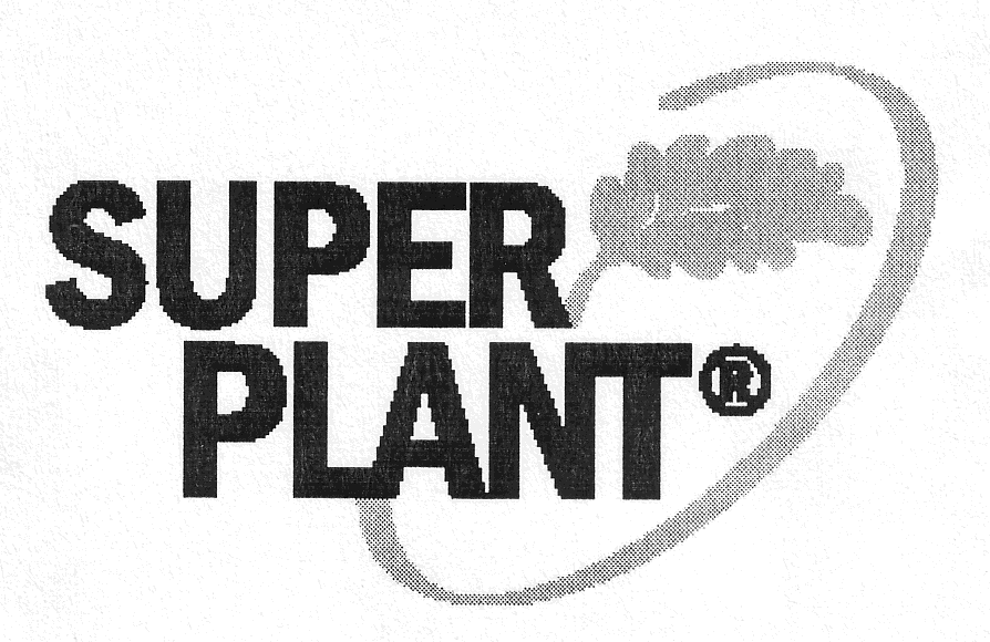 SUPER PLANT