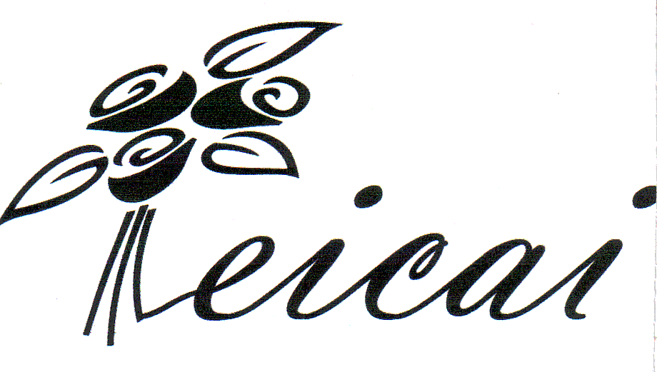 FEICAI
