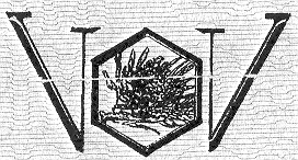 V V