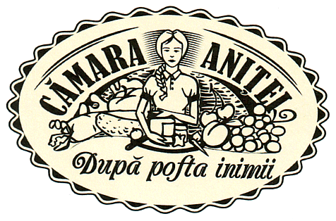 CAMARA ANITEI DUPA POFTA INIMII