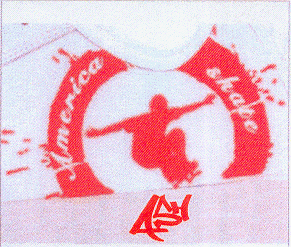 AMERICA SKATE ASH