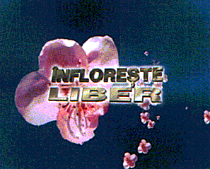 INFLORESTE LIBER