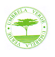 UMBRELA VERDE