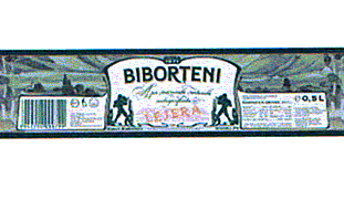 BIBORTENI LEJERA
