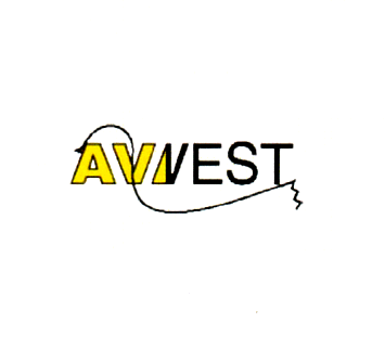 AVIVEST
