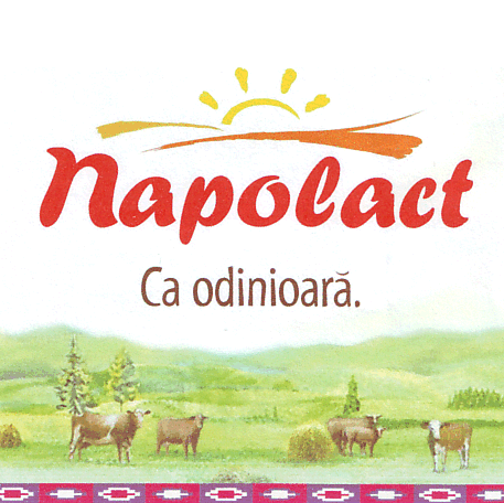 NAPOLACT CA ODINIOARĂ.