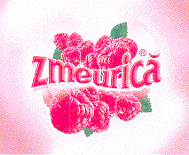 ZMEURICĂ