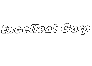 EXCELLENT CARP