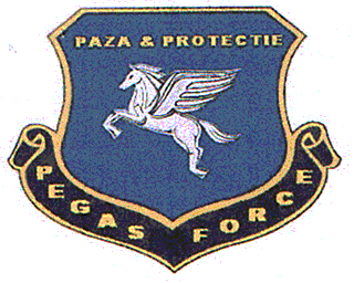 PEGAS FORCE PAZĂ & PROTECŢIE