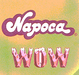 NAPOCA WOW